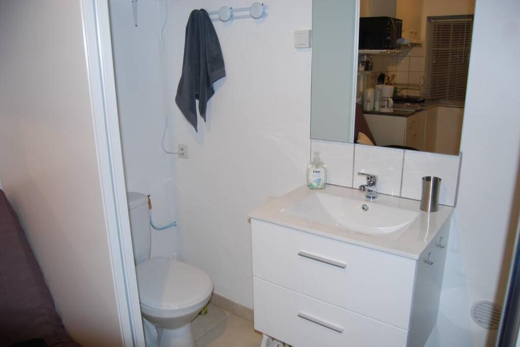 L'Atelier A 100 M De Tarbes Sud Villa Laloubere Exterior photo